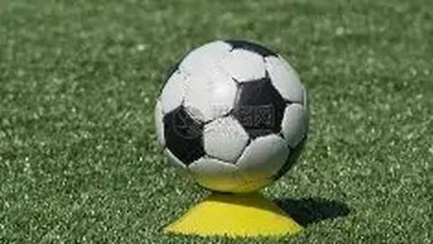 PA真人 资讯 133600 d4n